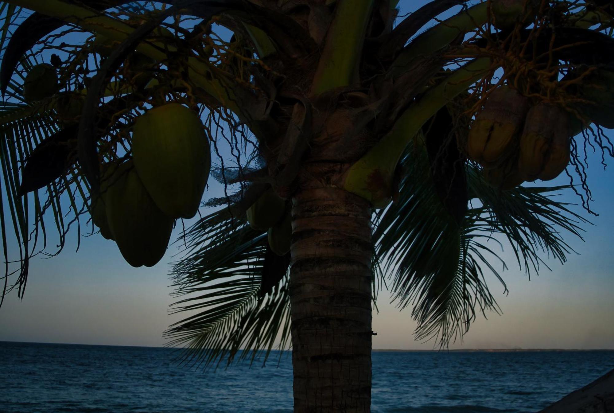 Avo Boutique Hotel Dikoni Exteriér fotografie